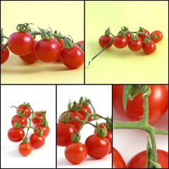 cherry tomatoes, collage