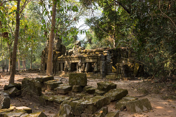 Ta Prohm temple at Angkor Wat complex