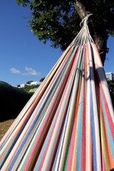summer hammock color
