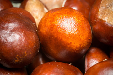 Fresh Chestnuts Macro