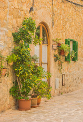 Fototapeta na wymiar Mediterraner Hauseingang mit Topfpflanzen