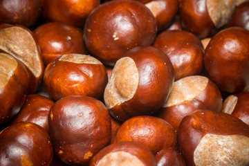 Fresh Chestnuts Macro