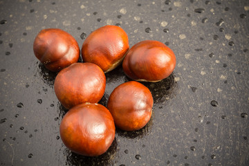 Obraz premium Fresh Chestnuts Macro