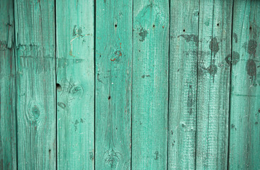 Fototapeta na wymiar Light green wood planks vintage or grunge background texture.