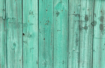 Naklejka premium Light green wood planks vintage or grunge background texture.