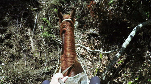 Astride on horse