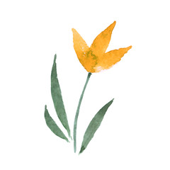 flower painted in watercolor. vector illustration