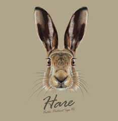 Naklejka premium Hare or Rabbit wild animal cute face. Vector European hare, Lepus Europaeus funny bunny head portrait. Easter symbol. Realistic fur portrait of forest brown bunny animal isolated on beige background.