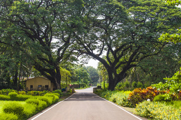 beautiful landscape park, way to truth