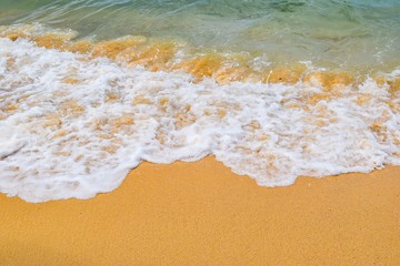 beautiful beach and tropical sea