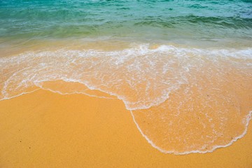 beautiful beach and tropical sea