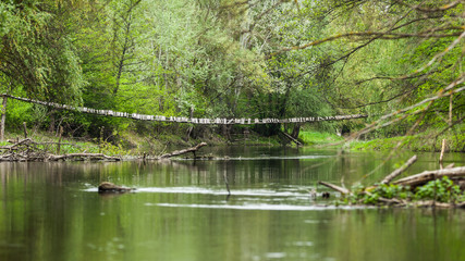 bridge trough forest river