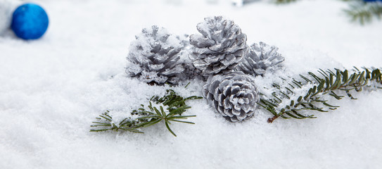 Christmas composition with snow and Christmas decoration