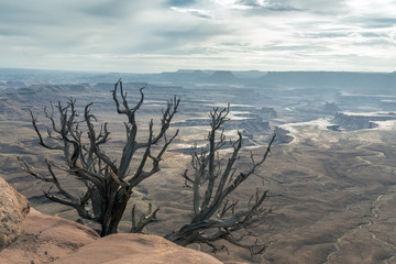 Canyonlands National Park