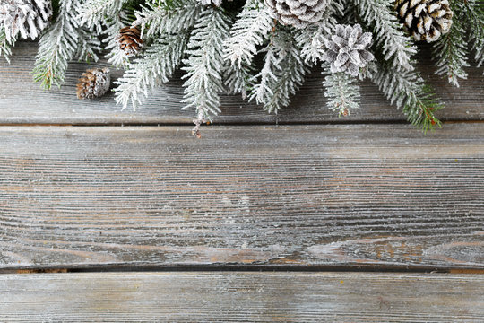 spruce and snow on boards