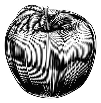 Vintage Woodcut Apple