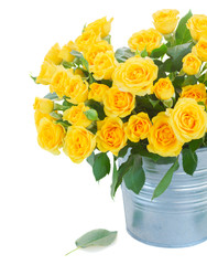 bouquet of fresh roses