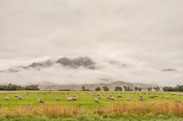 Fototapeta premium New Zealand countryside in the vicinity of Te Anau on the west coast of South Island