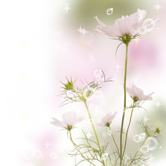 Flowers on abstract blur spring nature background