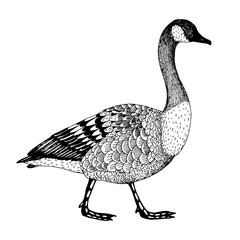 abstract hand drawn vector illustration with a goose