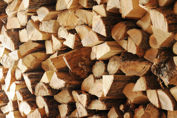 Dry chopped firewood logs in a pile.