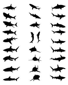 Black silhouettes of sharks, vector