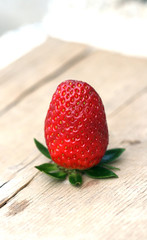 Strawberry fruit