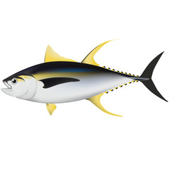 tuna