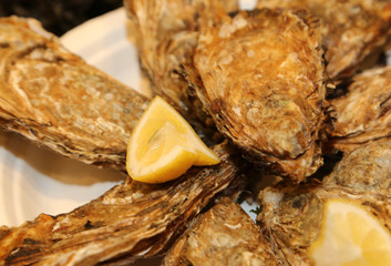 delicious oysters served with lemon