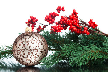 Christmas decoration with european holly