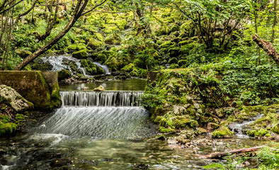 Dreamy waterfall in middle of green forest