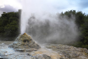 Lady Knox Geyser