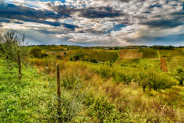 Agriculture and nature in Romagna hills