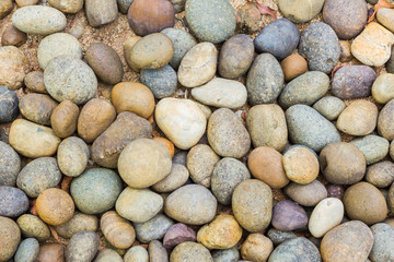 Fototapeta na wymiar pebbles in many shapes on the beach, abstract backgound