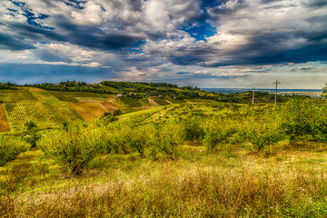 Agriculture and nature in Romagna hills