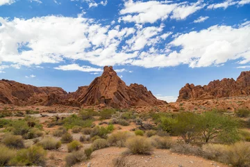 Foto op Plexiglas Red Rock Landscape, Valley of Fire State Park, Nevada, USA © beketoff