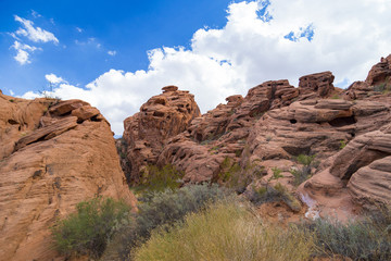 Red Rock Landscape, Valley of Fire State Park, Nevada, USA