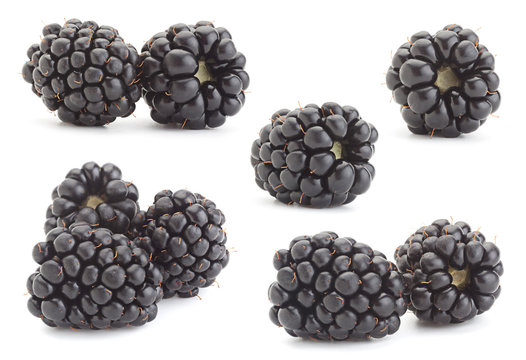 Blackberry fruit collection