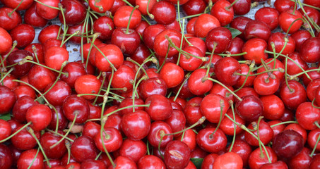 ripe fresh cherries  for sale  in a market