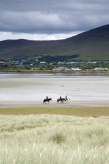 Obraz na płótnie Canvas Horse Riding on Rossbeigh Beach