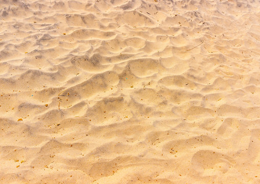 the golden sand of the famous Kardamaina beach at Kos island in Greece