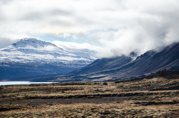 Südküste Island, von Djupivogur bis Höfn
