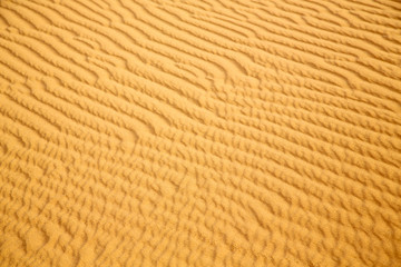 africa the   dune in   sahara morocco desert