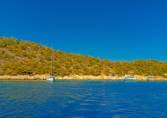 Obraz premium anchored yachts