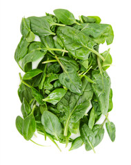 Fresh spinach leaves