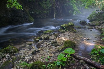 Creek Velka Biela voda in the Slovensky raj National Park, northern Slovakia. - obrazy, fototapety, plakaty