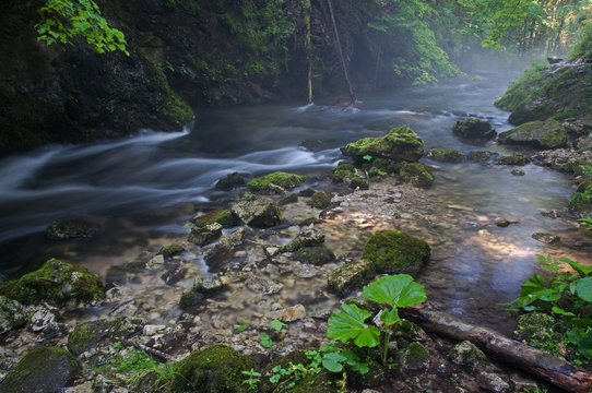 Creek Velka Biela voda in the Slovensky raj National Park, northern Slovakia.