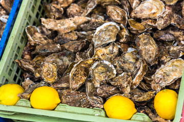 Oysters market in Cancale, France