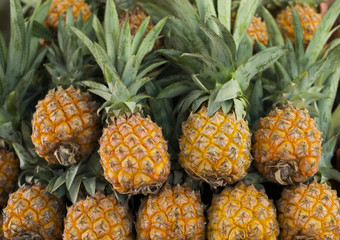 pineapple fruit background (selective focus)