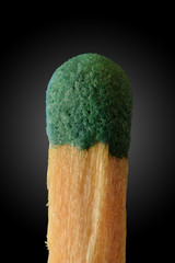 Matchstick before burning